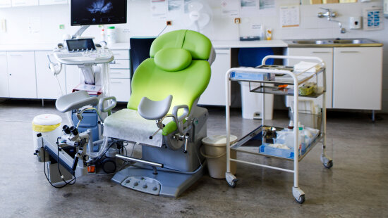 MUDr. Mouková: Vakcinaci proti HPV infekci bych doporučila všem sexuálně aktivním lidem bez ohledu na věk a pohlaví